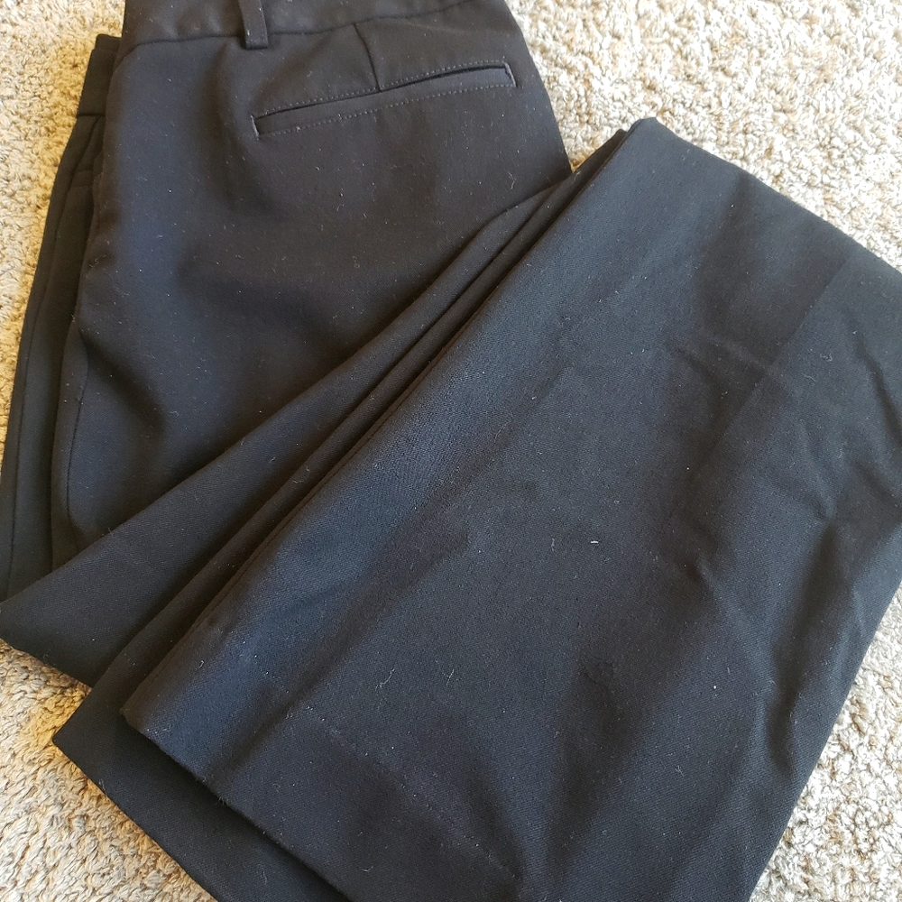 Express Boot Cut Pants